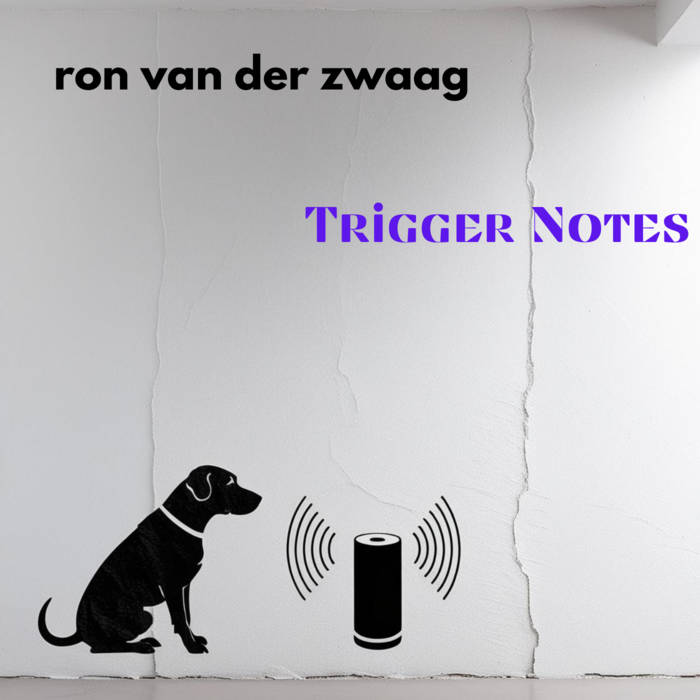 ron van der zwaag – album lite launch – live music